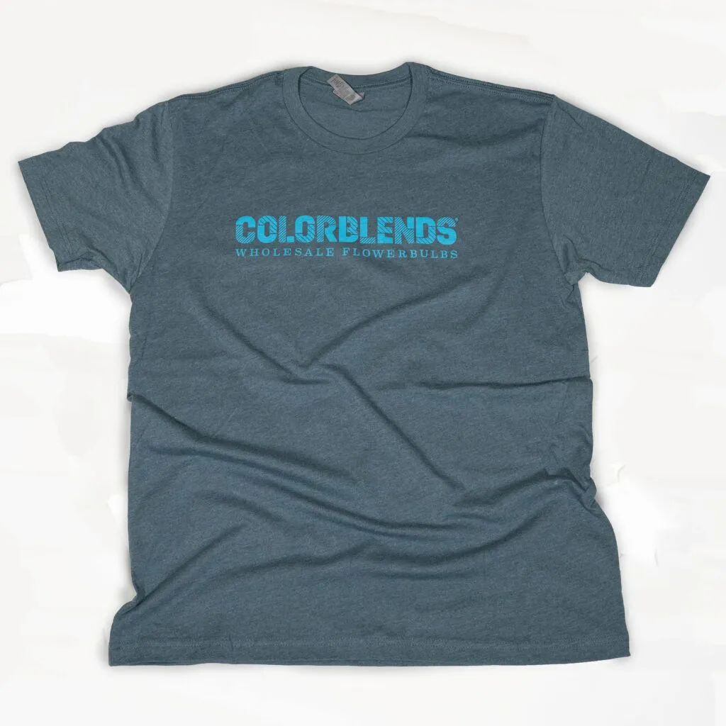 Colorblends short-sleeve t-shirt front