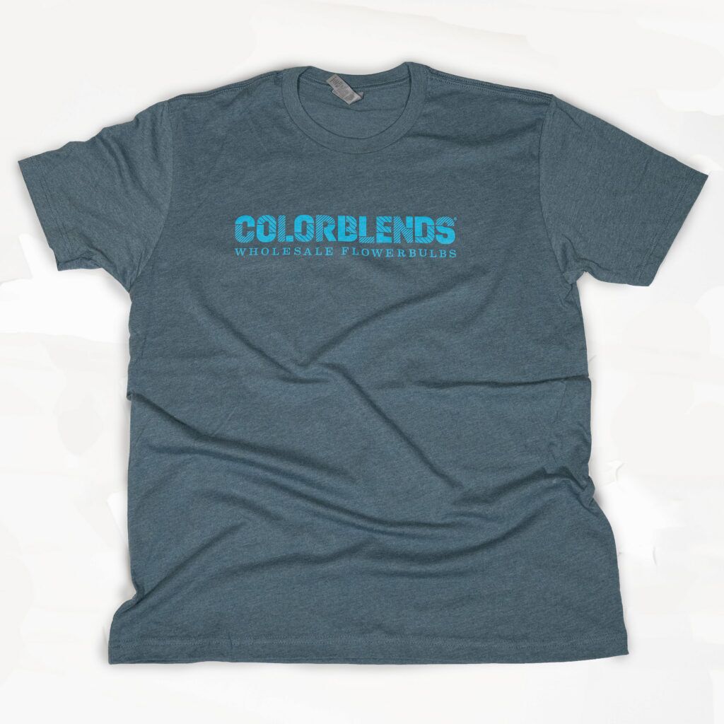 Colorblends short-sleeve t-shirt front