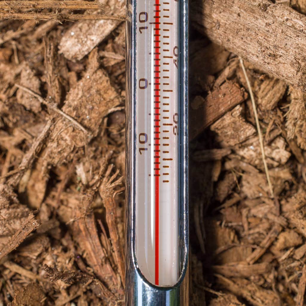 Bulb Thermometer