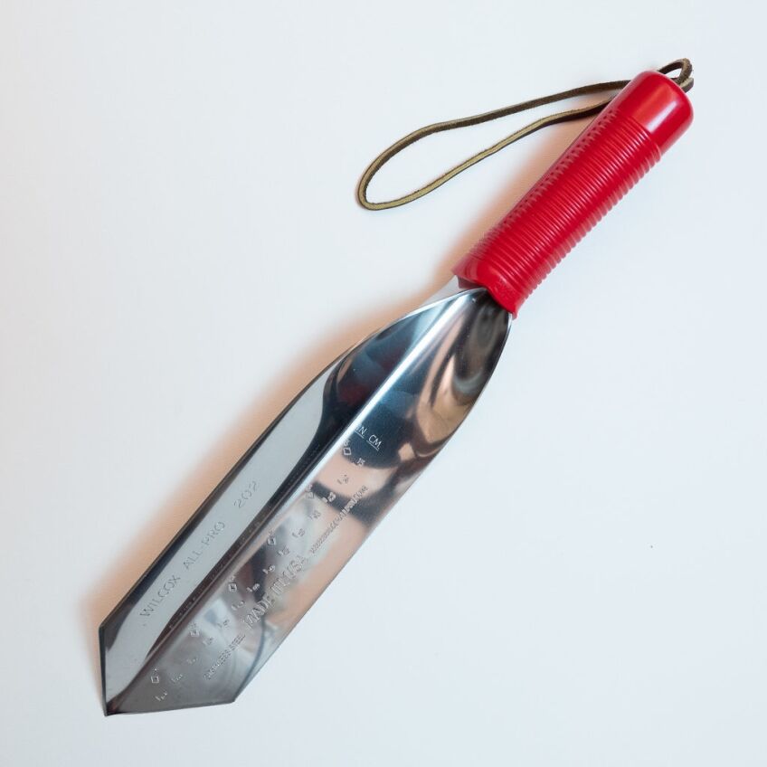 daffodil trowel