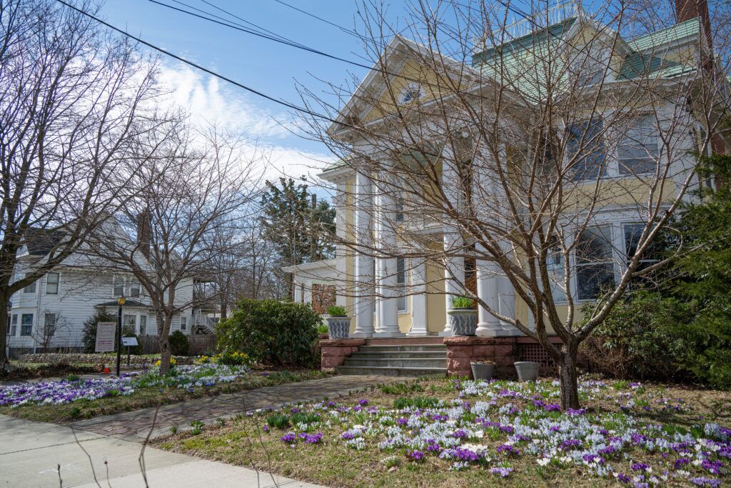 Crocuses in bloom in front of the Colorblends House and Spring Garden