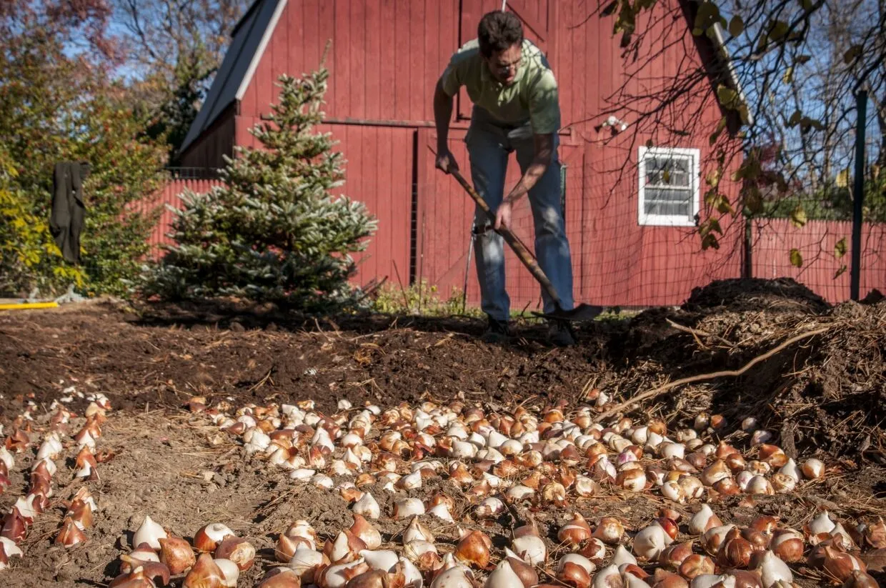 Planting tips from Colorblends