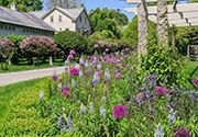 Flowers under a pergola