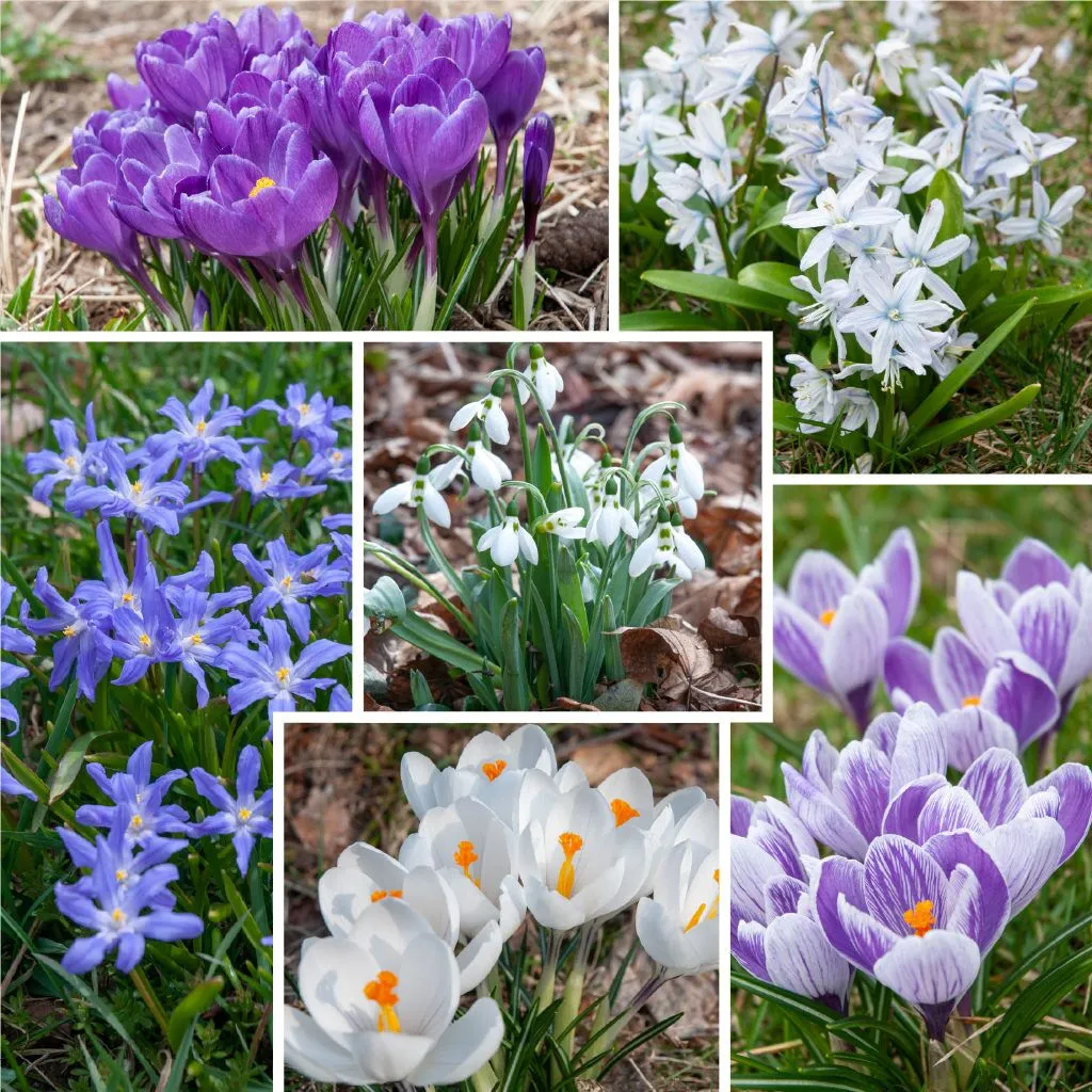 Impression Springtime from Colorblends