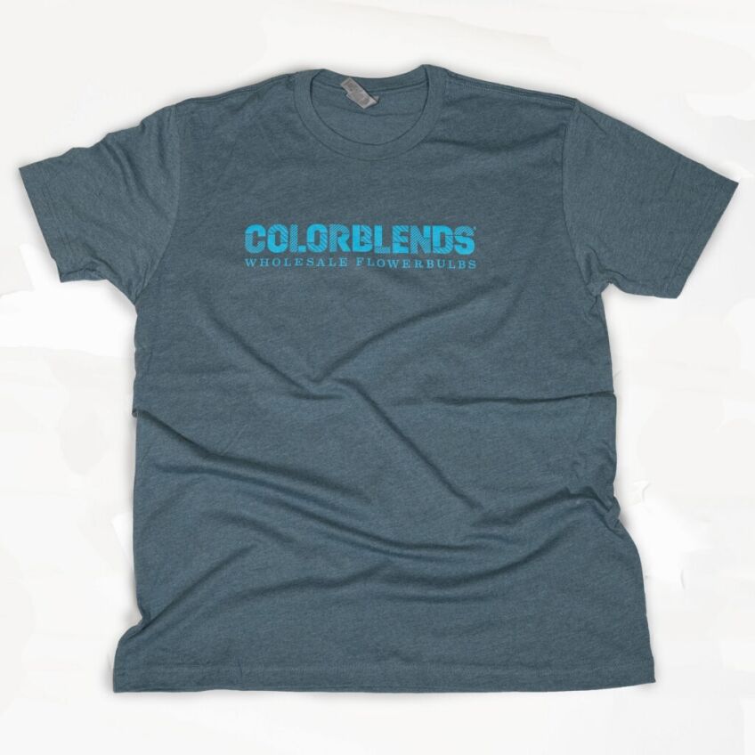 Colorblends short-sleeve t-shirt front
