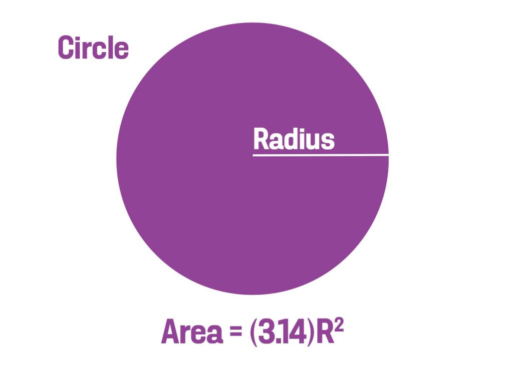 How Many Tulip Bulbs Per Square Foot