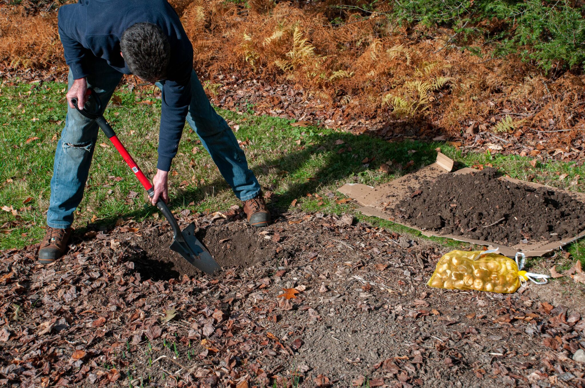 COLORBLENDS | Techniques for Bulb Planting: Poke, Drill, Trench