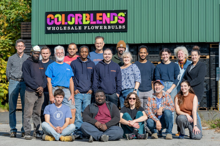 Colorblends staff now